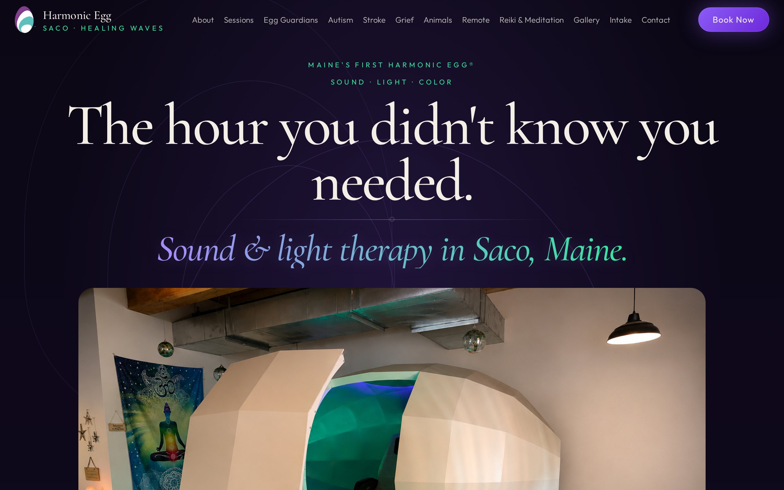 Harmonic Egg Saco website, desktop view built by Mikenzie Rae Media.
